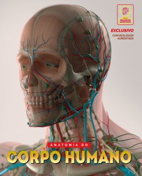 corpo_humano